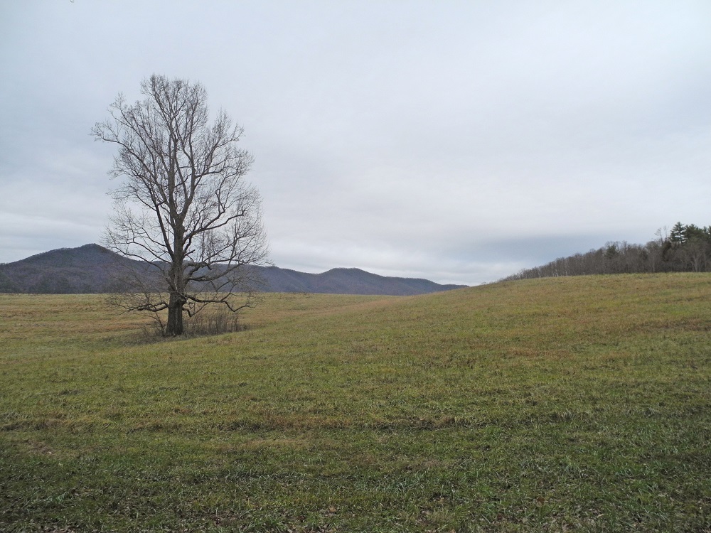 Cades Cove in the fall.